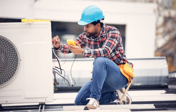 Best Electric Panel Repair  in Townsend, DE